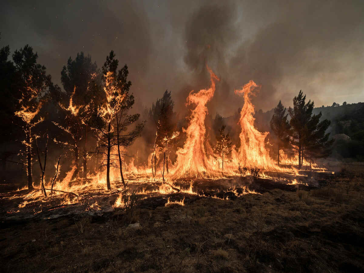 Us wildfire 2 - travel and tour world Us