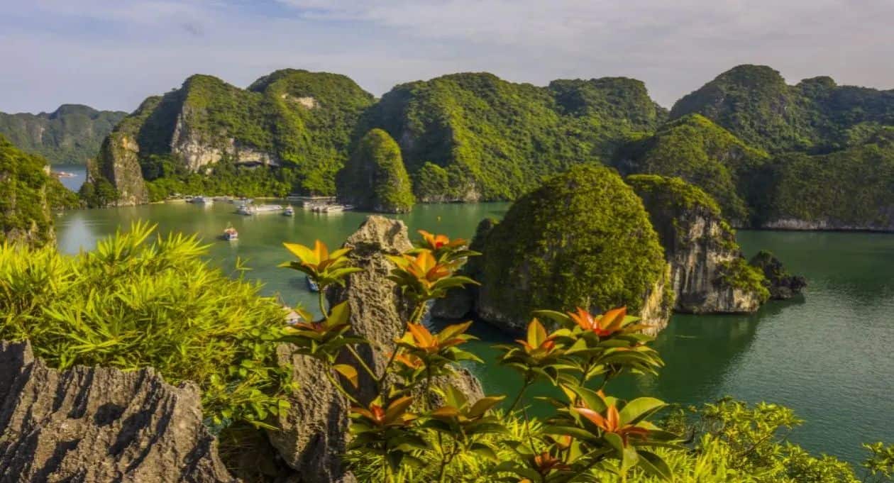Vietnam - travel and tour world Ha long bay’s lush limestone islands and emerald waters in vietnam.