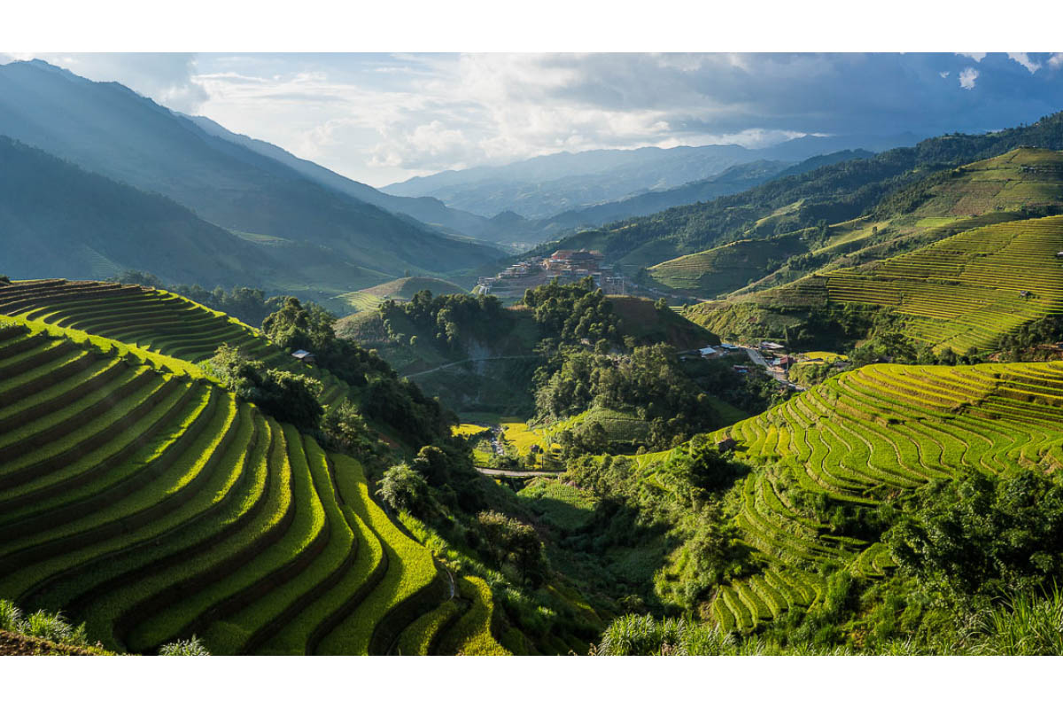 Lushness in vietnam