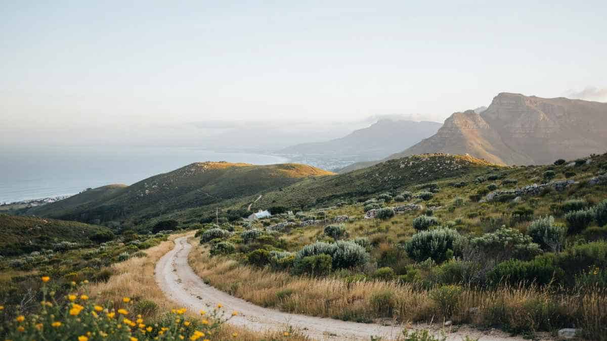 Scenic rail returns across the western cape