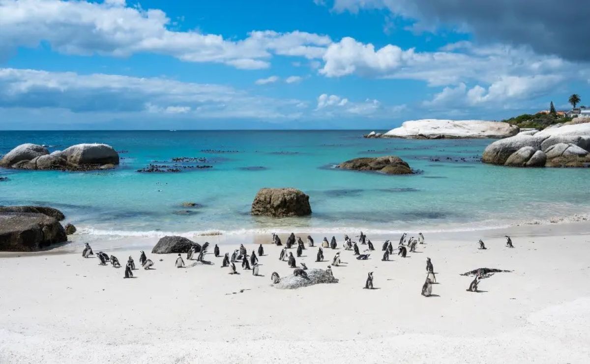 Africa - travel and tour world Africa