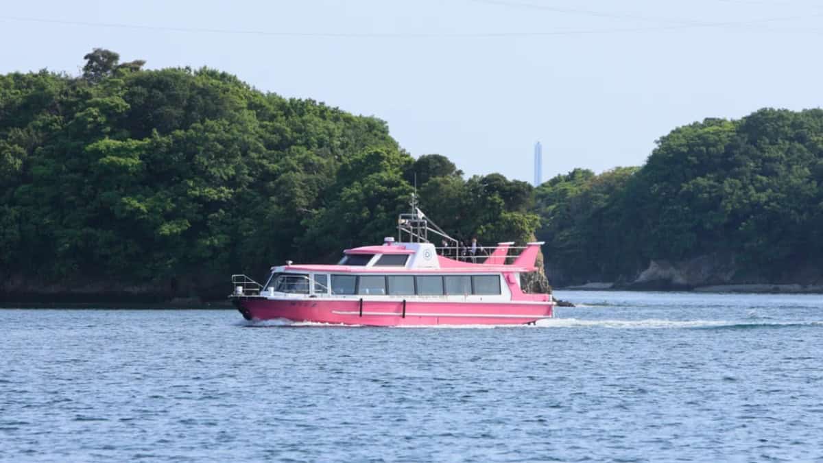 Ago ferry