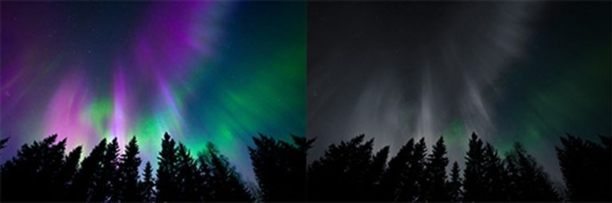 Northern lights spotlight