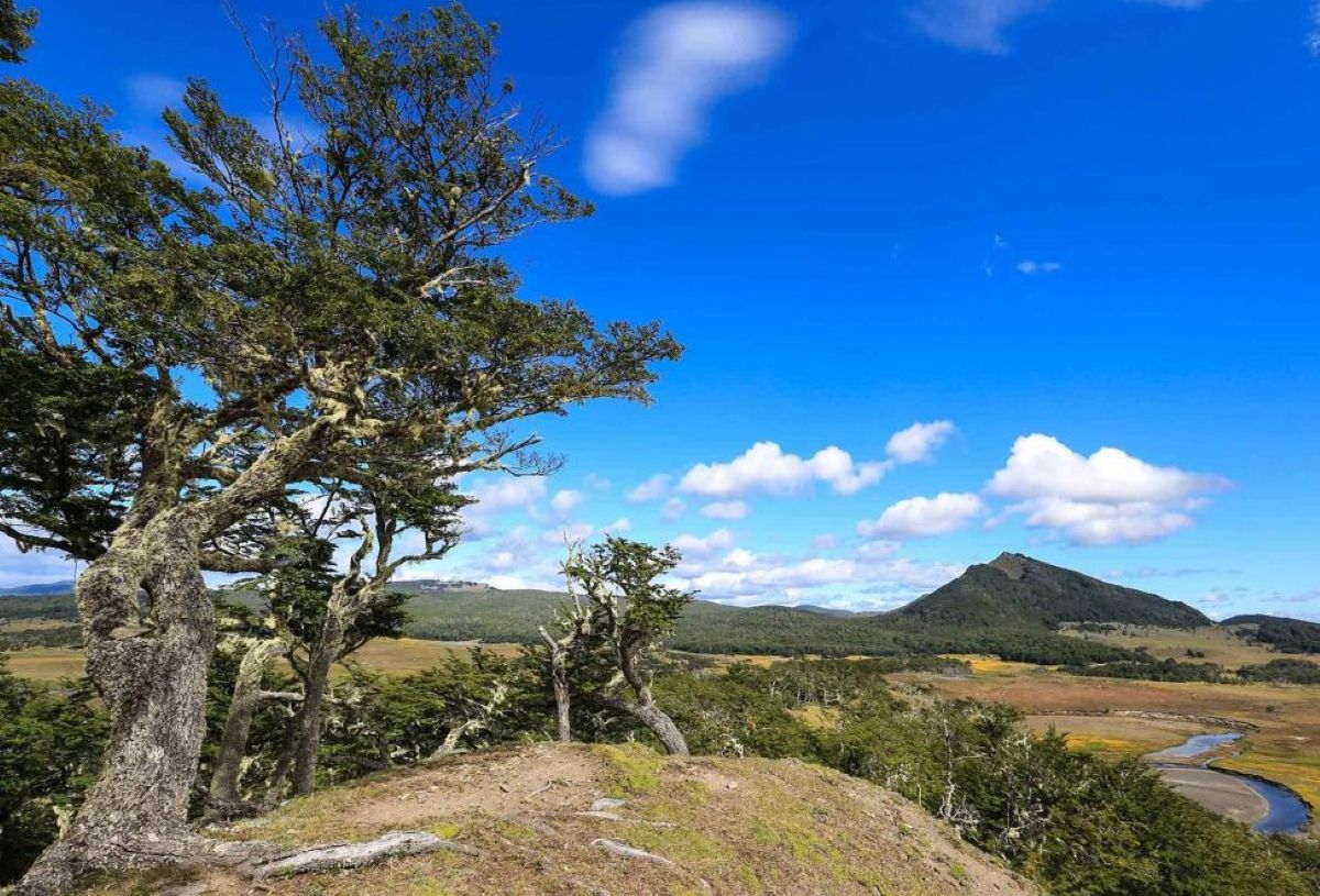 Chile - travel and tour world Chile