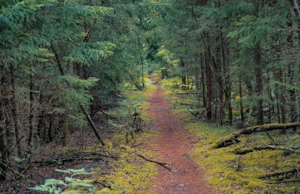 Finland - travel and tour world Finland