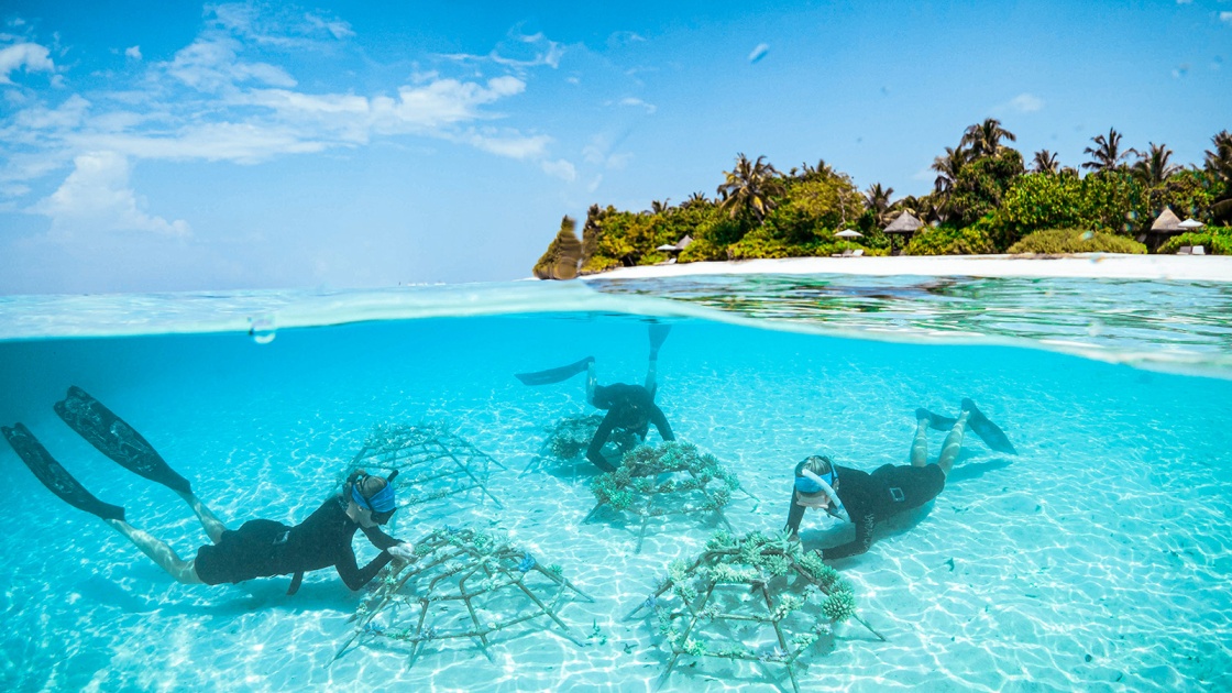 Three snorkellers tending coral restoration frames in clear maldives waters near a tropical island.