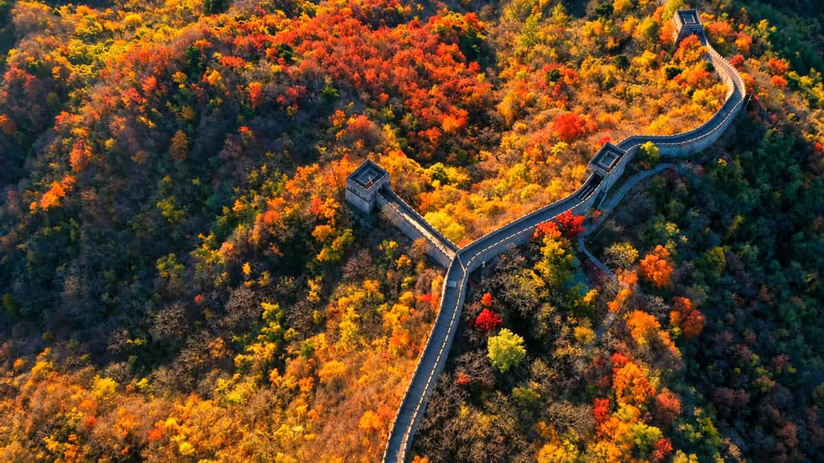 View of the winding mutianyu great wall surrounded by spring blossoms in beijing - travel and tour world Mutianyu great wall _beijing
