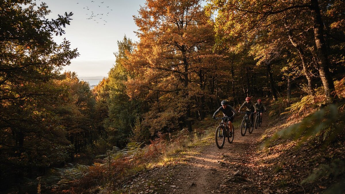 High-level-description-a-late-af 1 - travel and tour world Mountain bikers explore sintra's scenic autumn trails overlooking Portugal's Atlantic coastline.