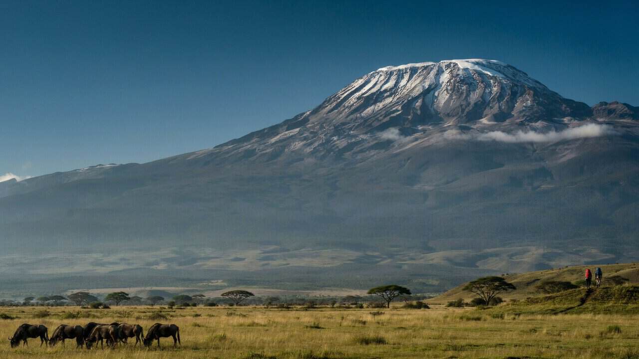 Travel disruption - travel and tour world A snow-capped mountain towers over a grassy savanna with wildebeests grazing in the foreground and hikers walking along a ridge.