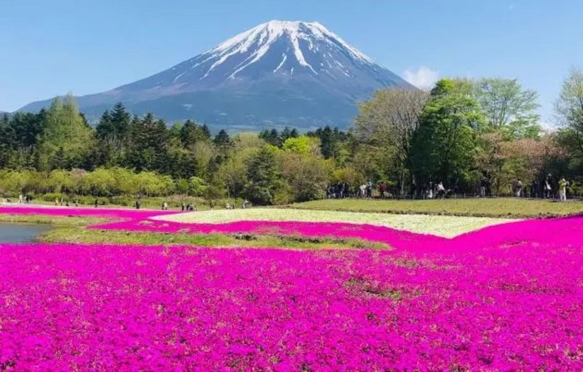 Japan