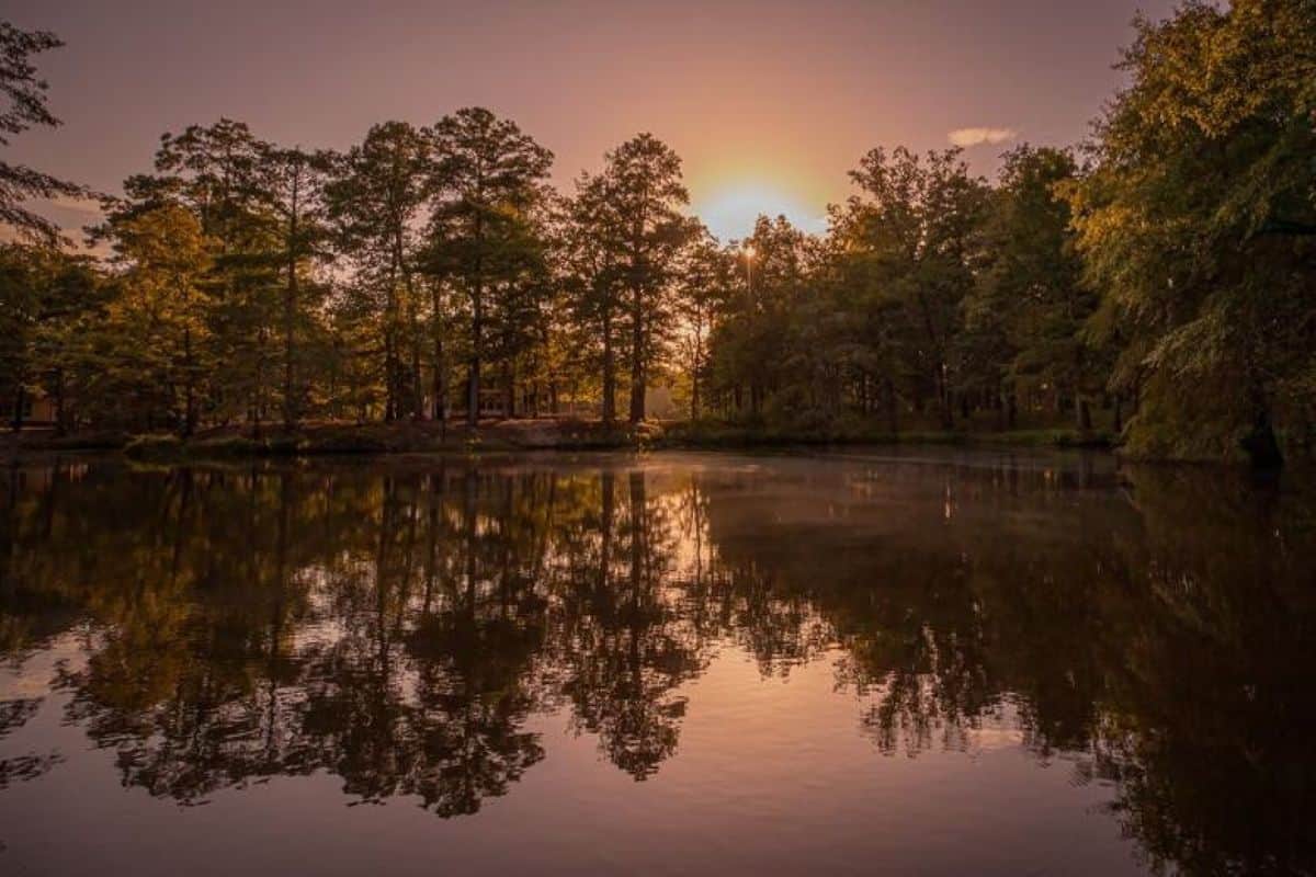 Louisiana