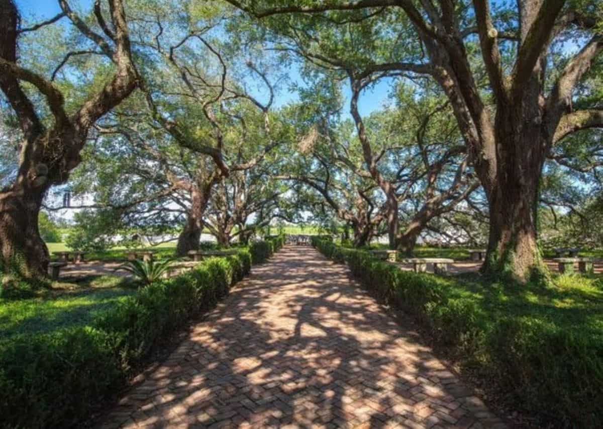 Louisiana1