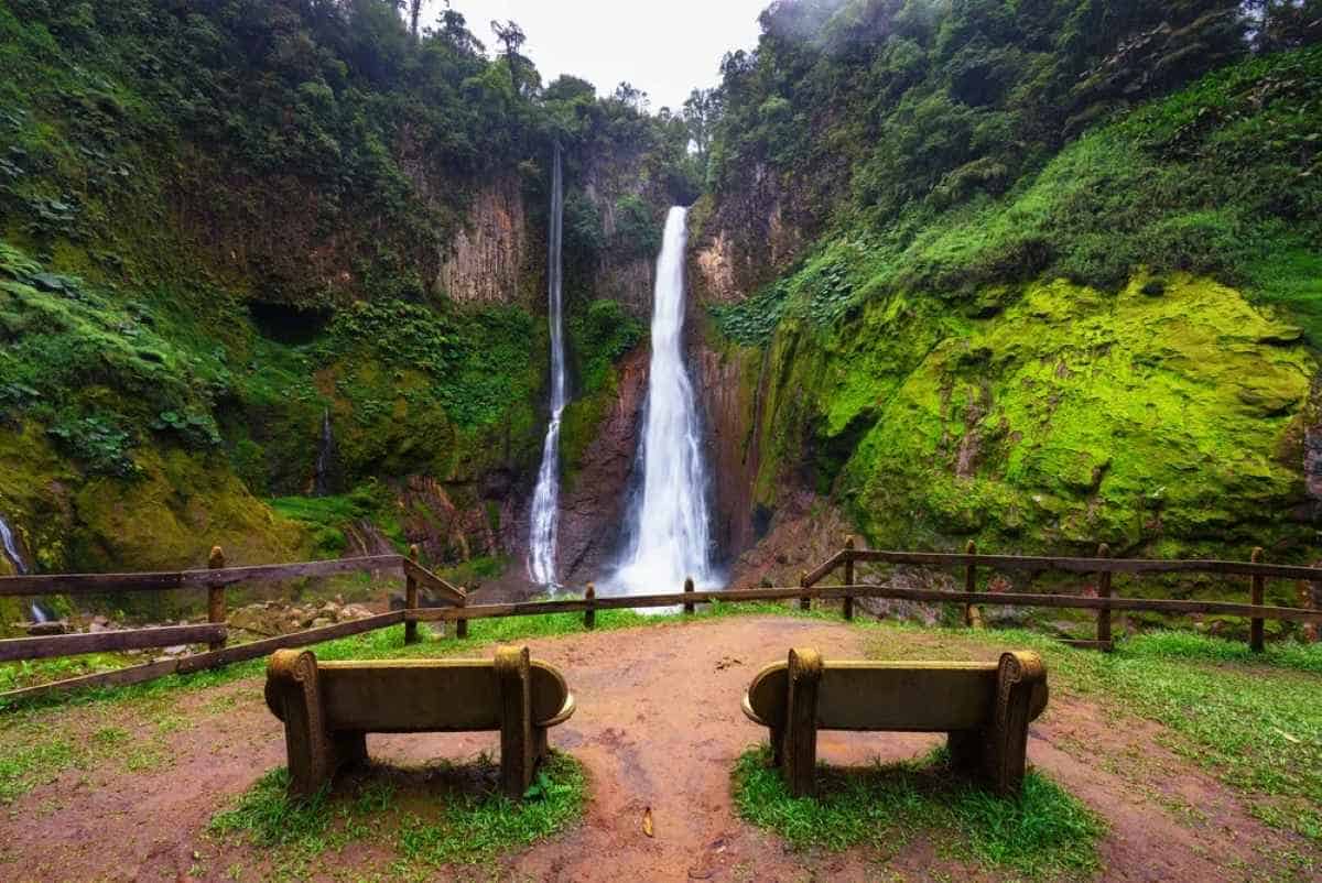 Costa rica&rsquo;s forests shape its tourism future