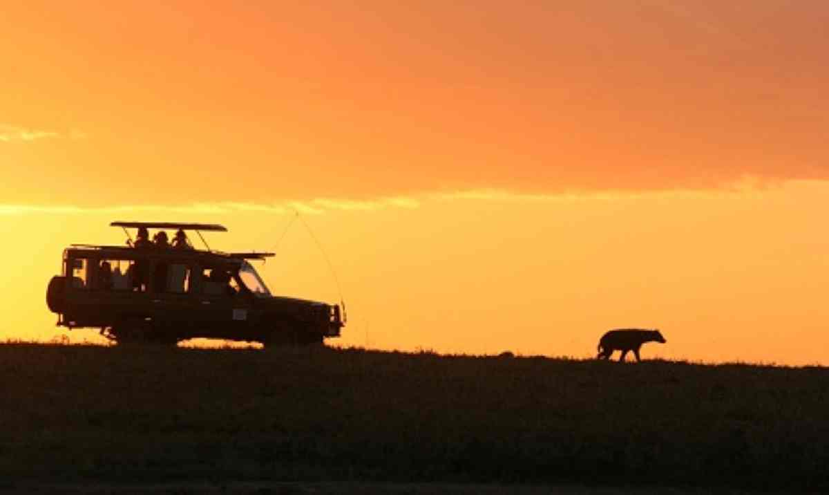 Safari - travel and tour world Kenya’s luxury safaris move towards quieter wilderness travel