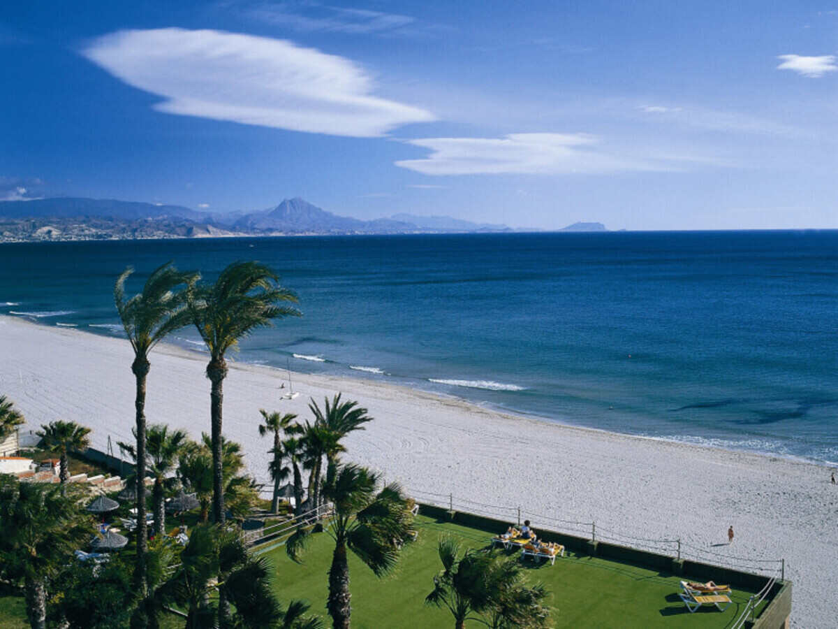 Mediterranean coast in spain with beach and palm trees
