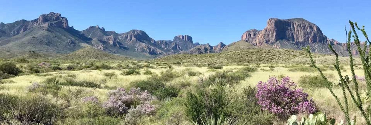 Big bend national park