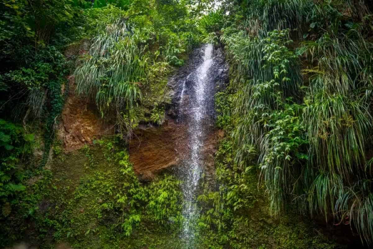 Toraille-waterfall - travel and tour world Saint lucia celebrates its creole identity